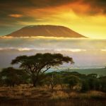 africa-tanzania تورآفریقا