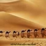 Iran desert