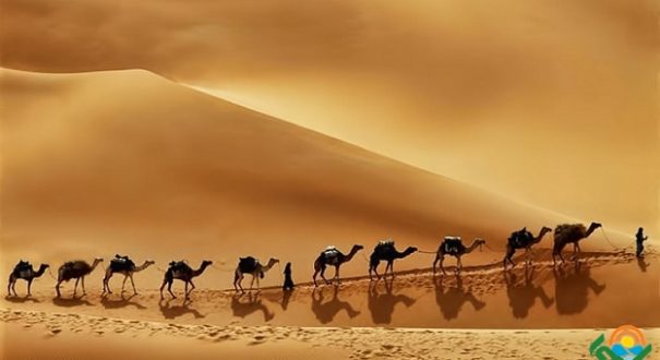 Iran desert