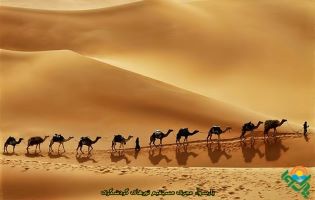 kavir-4-315×200 تورکویر