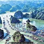 halong-3-255×150 خلیج هالونگ