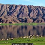 چغاخور