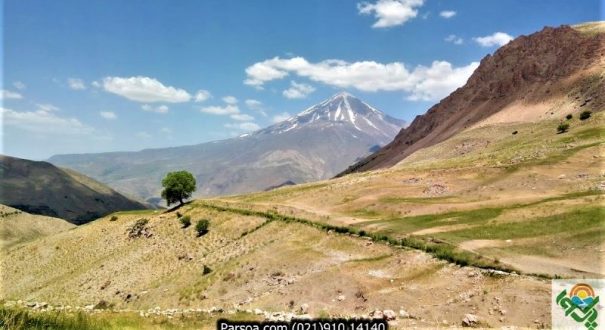 تور یک روزه