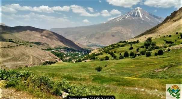تور یکروزه