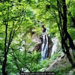 Abr-4-315×200 تورجنگل