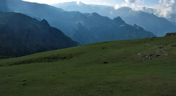تورطبیعتگردی
