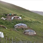 ییلاق-گردی