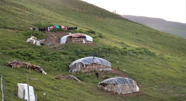 ییلاق-گردی