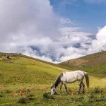 ییلاق سوباتان