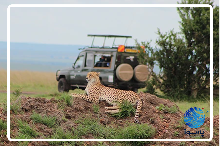 تور اقتصادی کنیا